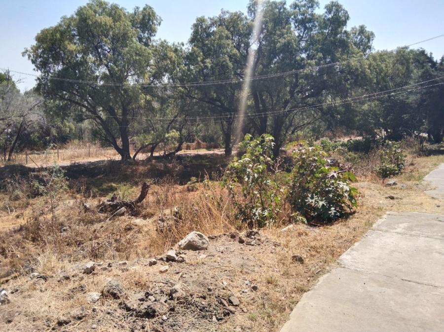 Foto Terreno en Venta en ACOZAC, Ixtapaluca, Mexico - $ 1.700.000 - TEV347397 - BienesOnLine