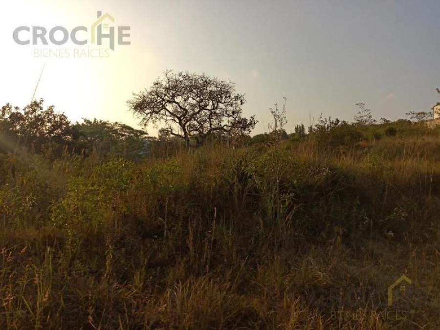 Foto Terreno en Venta en Las trancas, Emiliano Zapata (La Bomba), Veracruz - $ 550.000 - TEV325723 - BienesOnLine