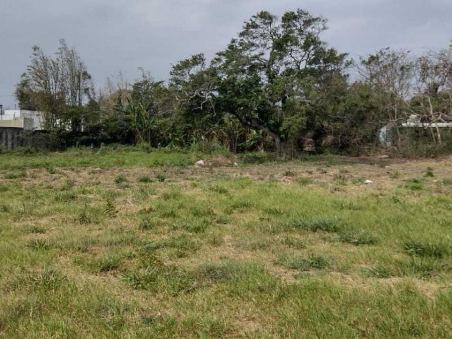 Foto Terreno en Venta en Fortn de las Flores, Veracruz - $ 235.290 - TEV351396 - BienesOnLine