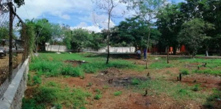 Foto Terreno en Venta en FRANCISCO VILLA ORIENTE, Kanasn, Yucatan - $ 100.000 - TEV296884 - BienesOnLine