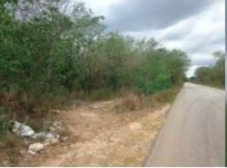 Foto Terreno en Venta en Gran Calzada, Umn, Yucatan - $ 176.000 - TEV314339 - BienesOnLine