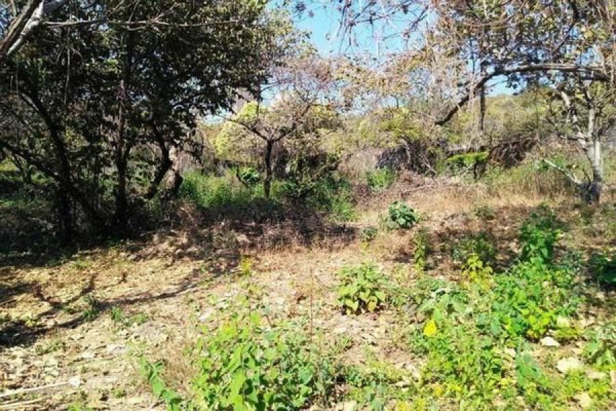 Foto Terreno en Venta en HEBERTO CASTILLO, Iguala de la Independencia, Guerrero - $ 135.000 - TEV343591 - BienesOnLine