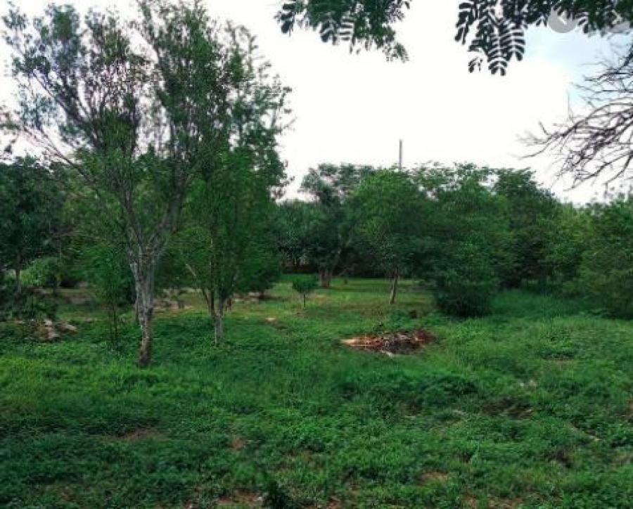 Foto Terreno en Venta en FRANCISCO VILLA ORIENTE, Kanasn, Yucatan - $ 105.000 - TEV296886 - BienesOnLine