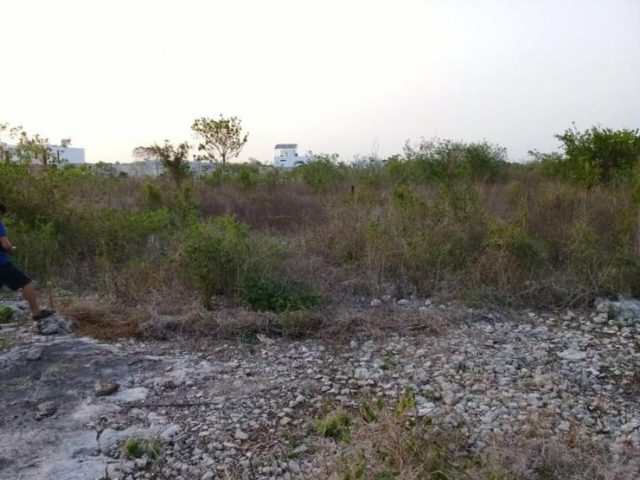 Foto Terreno en Venta en LAS AMERICAS, Mrida, Yucatan - $ 240.000 - TEV283142 - BienesOnLine