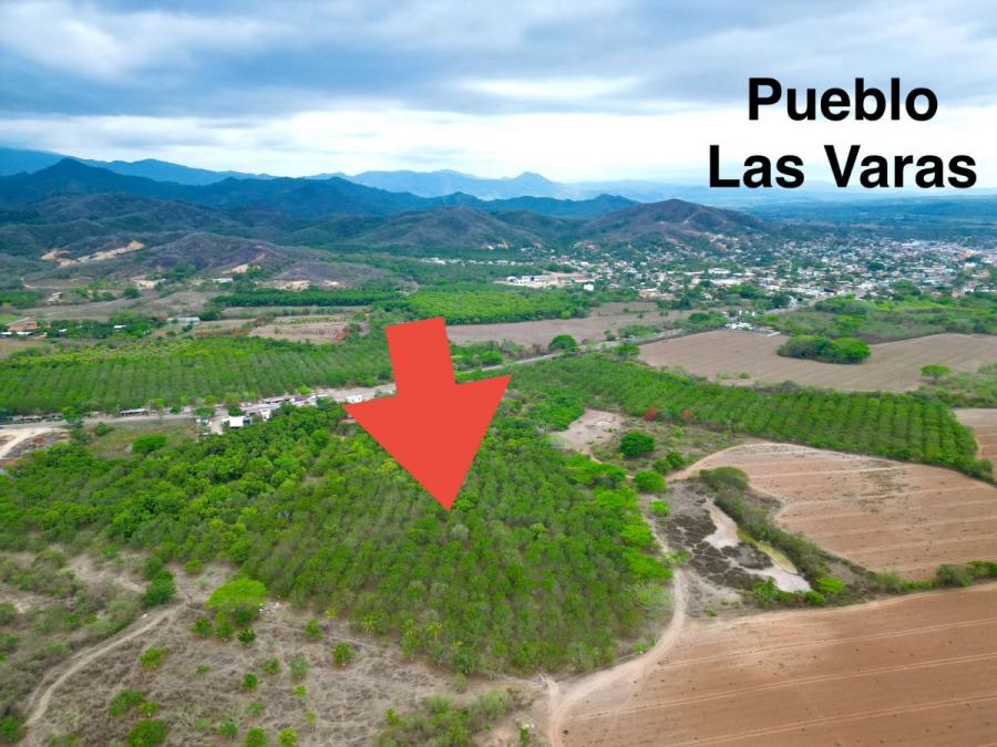 Foto Terreno en Venta en Las Varas, Nayarit - 4 hectareas - $ 9.400.000 - TEV364619 - BienesOnLine