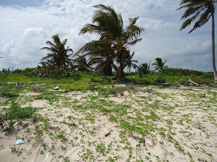 Foto Terreno en Venta en Mahahual, Quintana Roo - $ 3.900.000 - TEV182135 - BienesOnLine