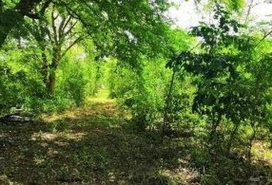 Foto Terreno en Venta en MAXCANU, Maxcan, Yucatan - $ 74.250 - TEV277623 - BienesOnLine