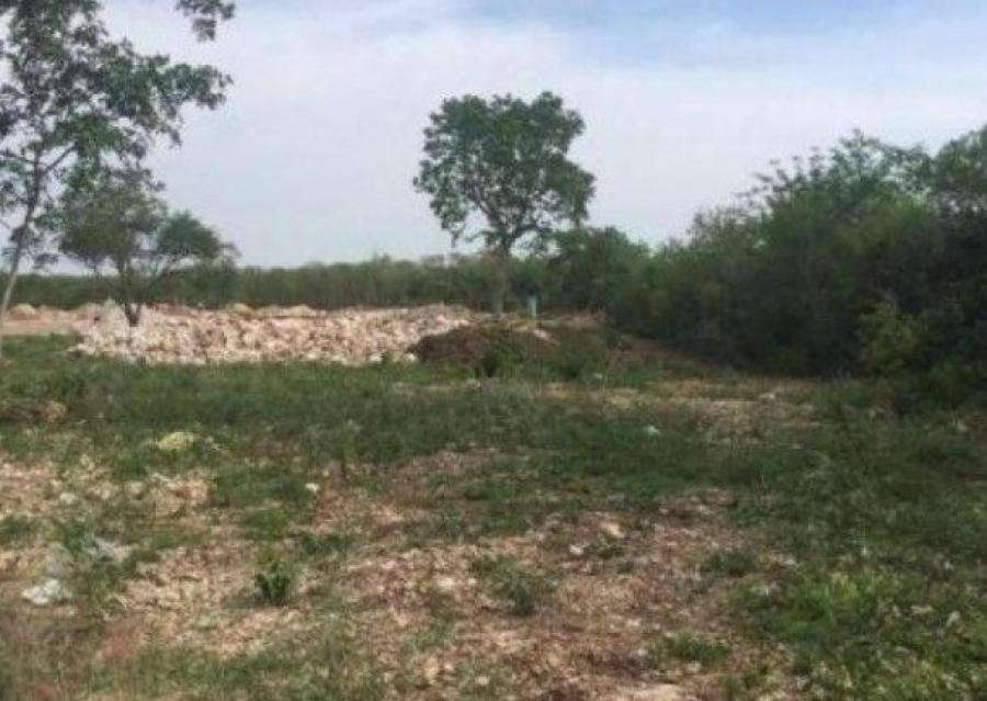 Foto Terreno en Venta en JUAN PABLO II, Mrida, Yucatan - $ 352.000 - TEV308773 - BienesOnLine