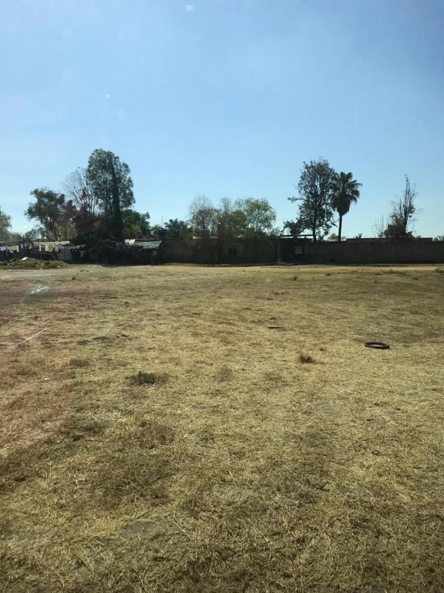 Foto Terreno en Venta en San Jose del Castillo, El Salto, Jalisco - 1 hectareas - $ 5.900.000 - TEV247410 - BienesOnLine