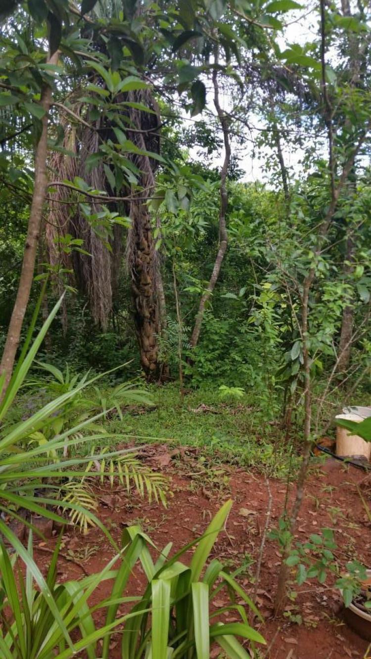 Foto Terreno en Venta en La Herradura, Santa Mara Huatulco, Oaxaca - $ 2.500.000 - TEV174202 - BienesOnLine