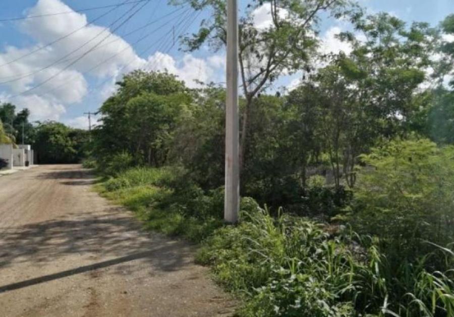 Foto Terreno en Venta en PIEDRA DE AGUA, Umn, Yucatan - $ 110.000 - TEV304251 - BienesOnLine