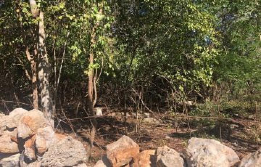 Foto Terreno en Venta en UMAN, Umán, Yucatan - $ 290.000 - TEV360732 - BienesOnLine