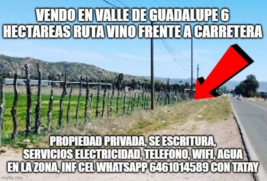 Foto Terreno en Venta en ejido el porvenir, valle de guadalupe, El Porvenir (Guadalupe), Baja California - 6 hectareas - U$D 170.000 - TEV337466 - BienesOnLine