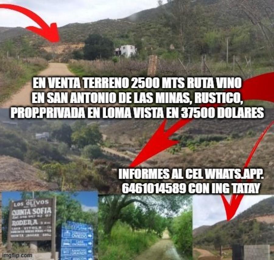 Foto Terreno en Venta en San Antonio de las Minas, El Porvenir (Guadalupe), Baja California - 1 hectareas - U$D 37.500 - TEV363361 - BienesOnLine