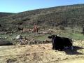 Terreno en Venta en Valle de las Palmas Tecate