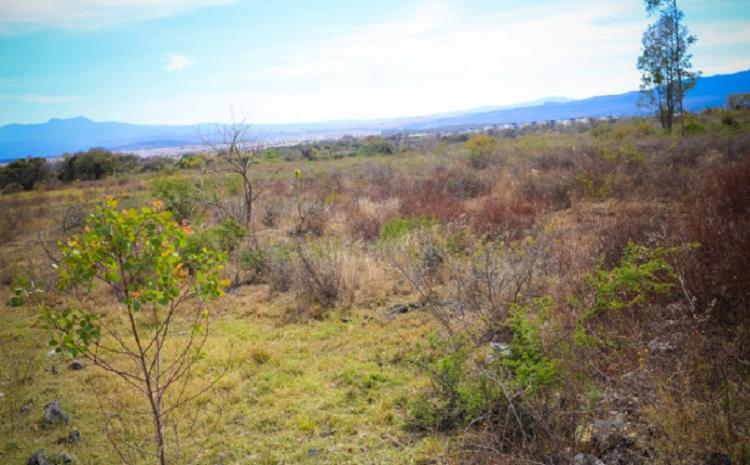 Foto Terreno en Venta en salida a Quiroga, Morelia, Michoacan de Ocampo - $ 25.000.000 - TEV233633 - BienesOnLine