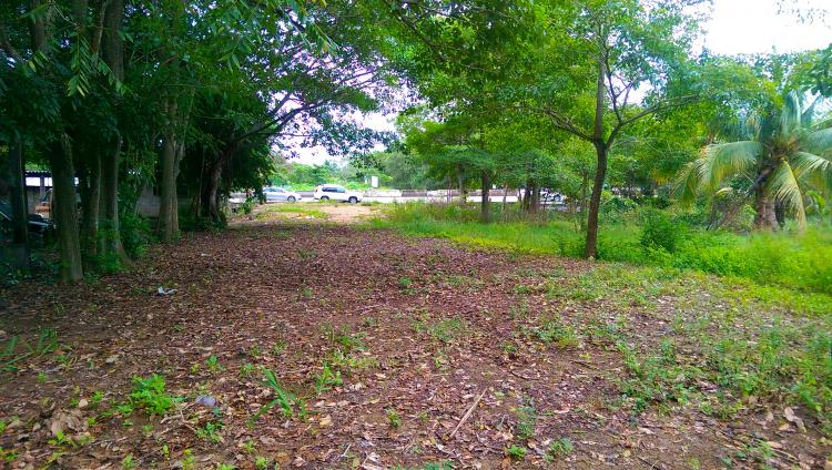 Foto Terreno en Venta en Puerto Ceiba, Paraso, Tabasco - 4 hectareas - $ 1.600 - TEV158986 - BienesOnLine