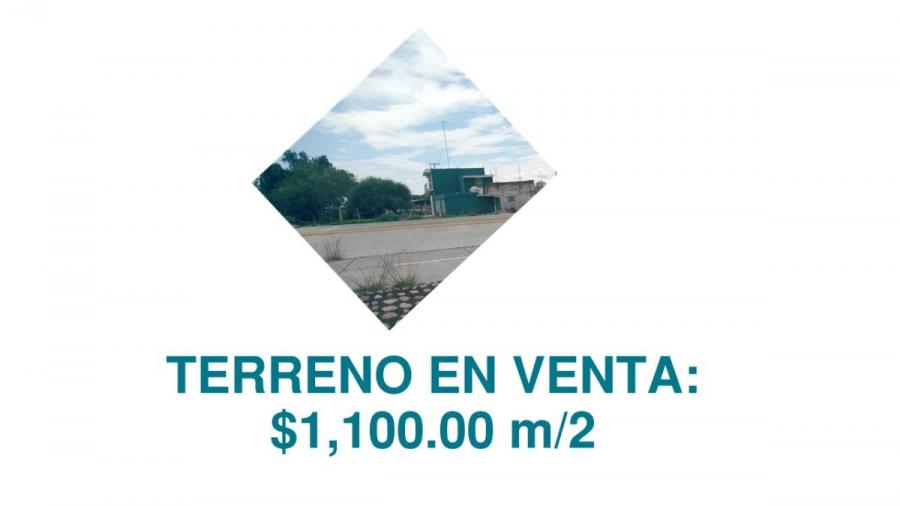 Foto Terreno en Venta en San Francisco del Rincn, Guanajuato - $ 66.000.000 - TEV309817 - BienesOnLine