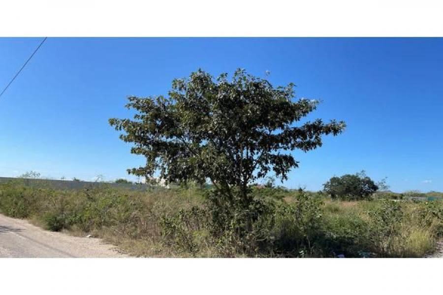 Foto Terreno en Venta en Temozn norte, Mrida, Yucatan - $ 2.100.000 - TEV326951 - BienesOnLine