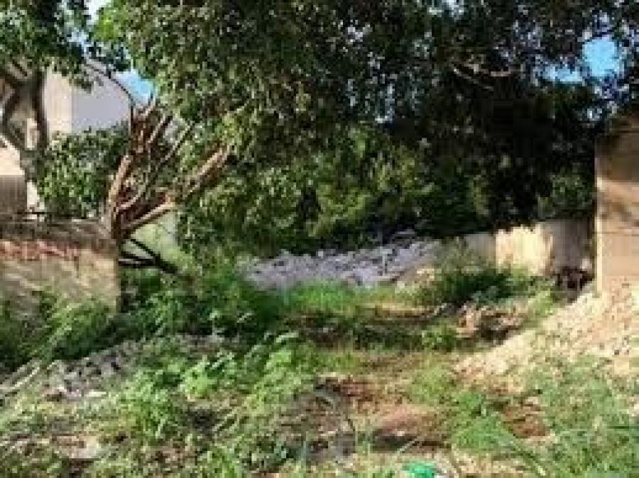 Foto Terreno en Venta en SAN MARCOS NOCO, Mrida, Yucatan - $ 200.000 - TEV311857 - BienesOnLine