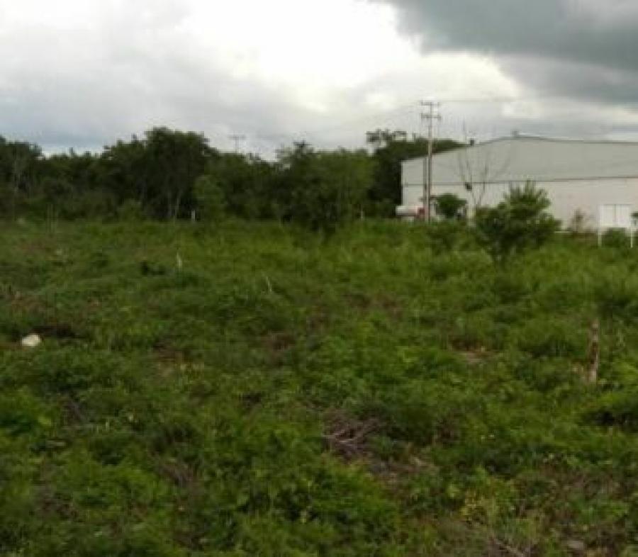 Foto Terreno en Venta en Umn, Yucatan - $ 268.000 - TEV312811 - BienesOnLine