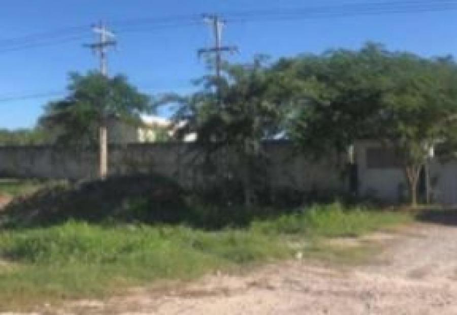 Foto Terreno en Venta en Umn, Yucatan - $ 117.000 - TEV312812 - BienesOnLine