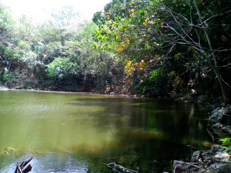 Foto Terreno en Venta en el pedregal, Coyoacn, Distrito Federal - $ 4.000.000 - TEV227539 - BienesOnLine