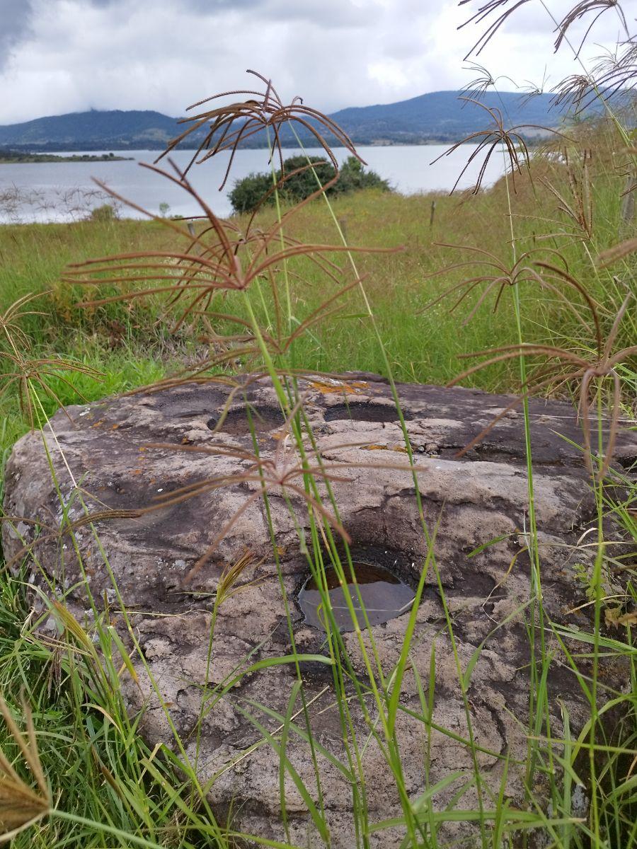 Foto Terreno en Venta en Tapalpa, Jalisco - 3 hectareas - $ 40.000.000 - TEV357513 - BienesOnLine