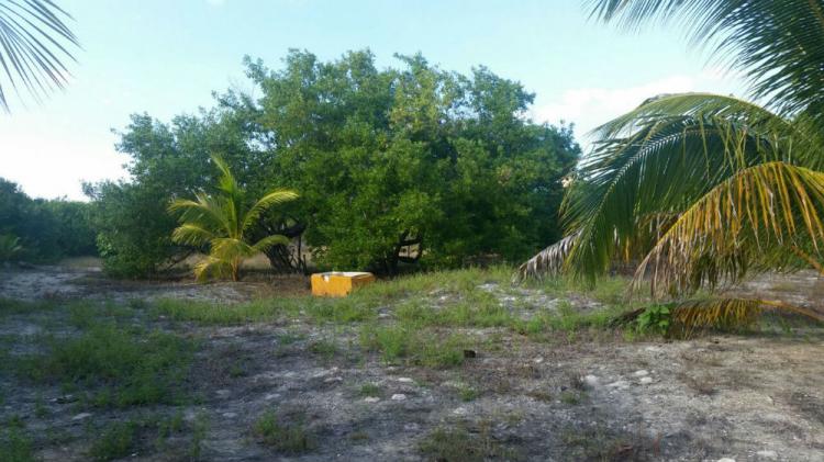 Foto Terreno en Venta en Lzaro Crdenas, Quintana Roo - $ 1.300.000 - TEV201205 - BienesOnLine