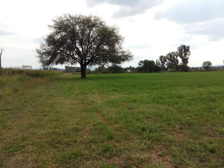 Foto Terreno en Venta en , Queretaro Arteaga - $ 48.000.000 - TEV153419 - BienesOnLine