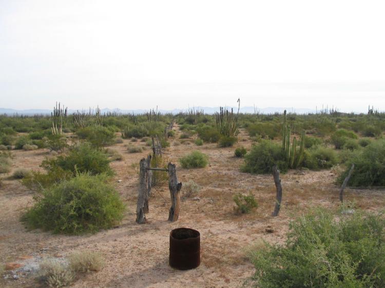 Foto Terreno en Venta en El Desierto de Sonora, Sonora - 2190 hectareas - U$D 8.500.000 - TEV193269 - BienesOnLine