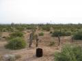 Terreno en Venta en  El Desierto de Sonora
