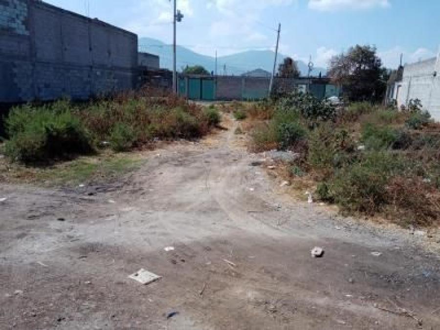 Foto Terreno en Venta en Las Pintas, Tlajomulco de Ziga, Jalisco - $ 850.000 - TEV339702 - BienesOnLine