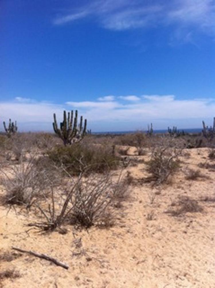 Foto Terreno en Venta en La Paz, Baja California Sur - $ 150.000 - TEV101707 - BienesOnLine