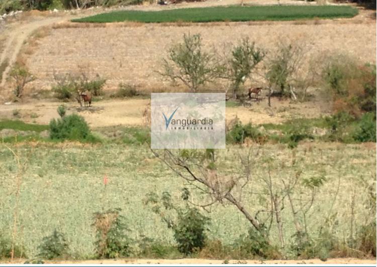 Foto Terreno en Venta en SAN FELIPE, Tonatico, Mexico - $ 4.000.000 - TEV124752 - BienesOnLine