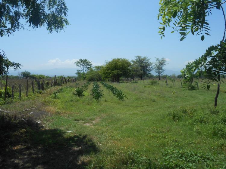 Foto Terreno en Venta en , Nayarit - $ 2.000.000 - TEV129628 - BienesOnLine