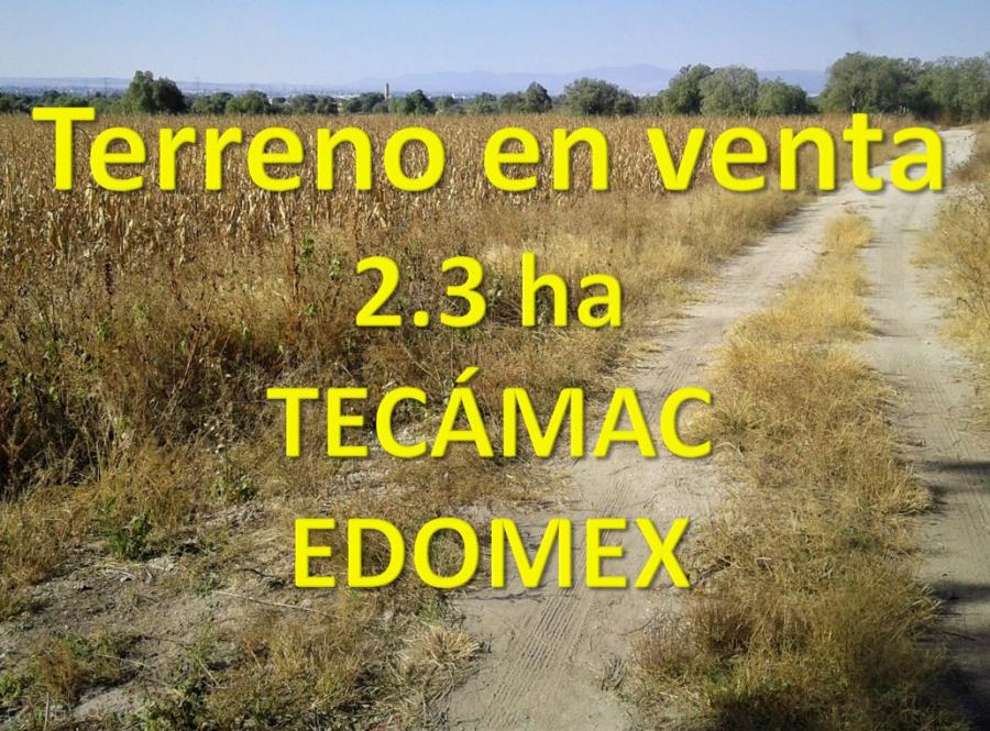 Foto Terreno en Venta en Santa Mara Ajoloapan, Tecmac de Felipe Villanueva, Mexico - 2 hectareas - $ 11.200.000 - TEV321815 - BienesOnLine