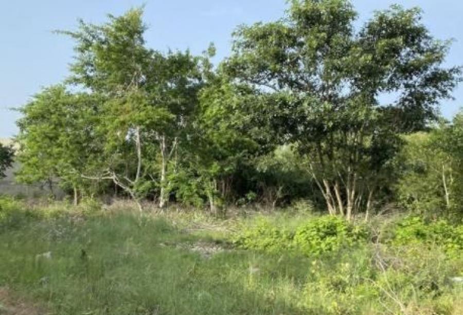 Foto Terreno en Venta en TEMOZON NORTE, S/N, Yucatan - $ 63.800 - TEV314027 - BienesOnLine