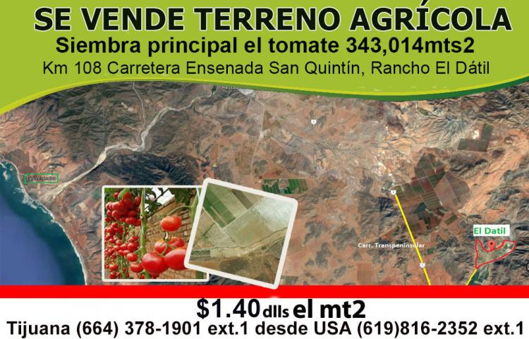 Foto Terreno en Venta en KM 108 CARRETERA SANQUINTIN ENSENADA, Ensenada, Baja California - U$D 140 - TEV189912 - BienesOnLine