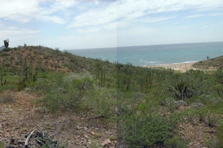 Foto Terreno en Venta en SAN CARLOS, Heroica Guaymas, Sonora - 700 hectareas - $ 180 - TEV185852 - BienesOnLine