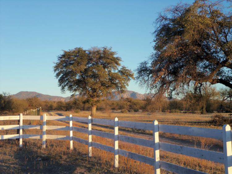 Foto Terreno en Venta en http://www.u.arizona.edu/~javierm1/venta-rancho-el, Bacoachi, Sonora - U$D 500 - TEV66163 - BienesOnLine