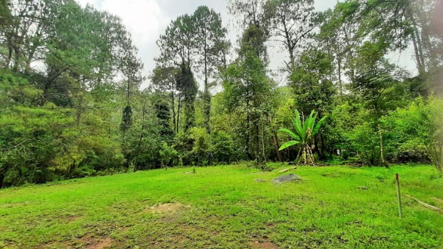 Foto Terreno en Venta en Circuito Avandaro, Valle de Bravo, Mexico - $ 16.000.000 - TEV305646 - BienesOnLine