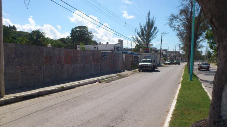 Foto Terreno en Venta en Campeche, Campeche - $ 3.600.000 - TEV62772 - BienesOnLine