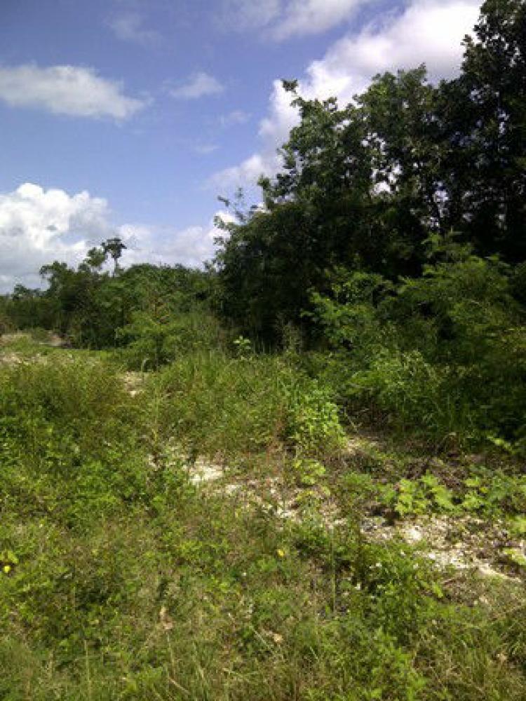 Foto Terreno en Venta en Cancn, Quintana Roo - $ 920.000 - TEV48367 - BienesOnLine