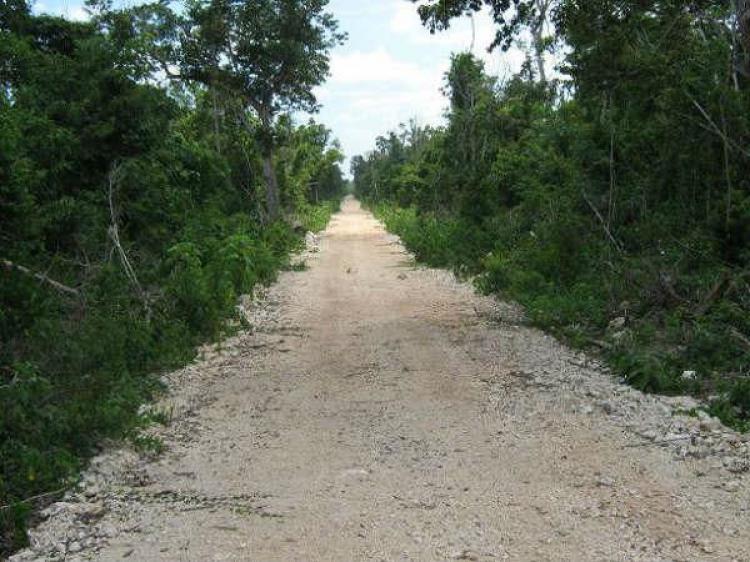 Foto Terreno en Venta en ruta de los cenotes, Cancn, Quintana Roo - $ 300.001 - TEV54908 - BienesOnLine