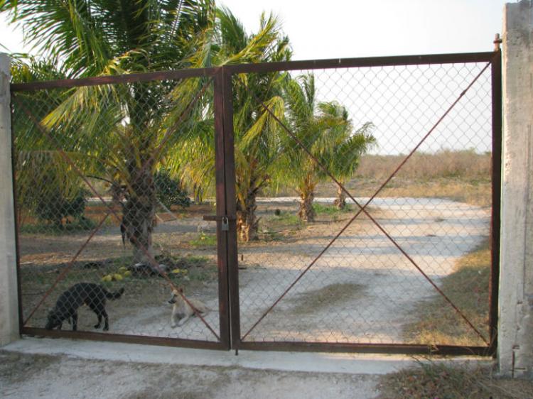 Foto Terreno en Venta en Cholul, Yucatan - 2 hectareas - $ 8.400.000 - TEV52774 - BienesOnLine