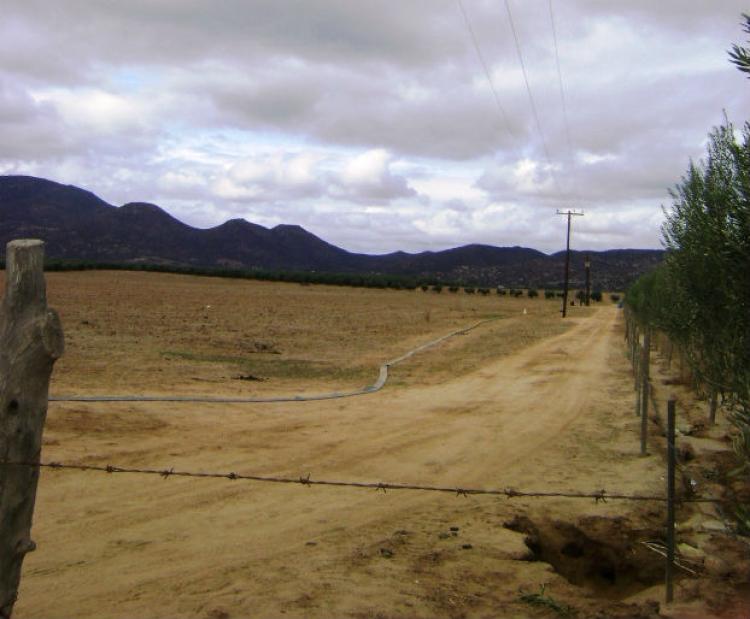 Foto Terreno en Venta en Ensenada, Baja California - 16 hectareas - TEV66305 - BienesOnLine
