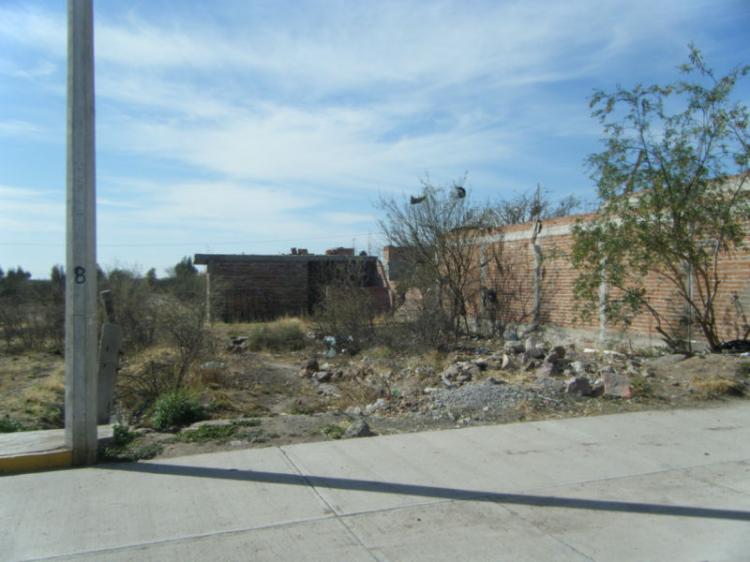 Foto Terreno en Venta en COLONIA LAS FLORES, Guadalupe, Zacatecas - $ 115.000 - TEV61933 - BienesOnLine
