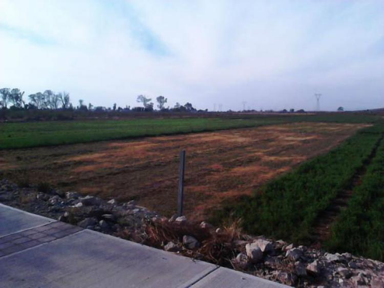 Foto Terreno en Venta en Irapuato, Guanajuato - $ 45.000.000 - TEV73546 - BienesOnLine