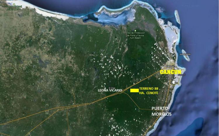 Foto Terreno en Venta en Leona Vicario, Quintana Roo - 88 hectareas - $ 115.000 - TEV74916 - BienesOnLine